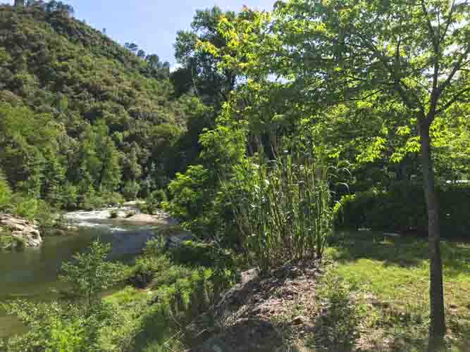 Emplacement sur la rivière le gardon en Cévennes du camping le petit baigneur